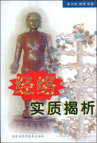 经络实质与针灸作用机理周迪湘