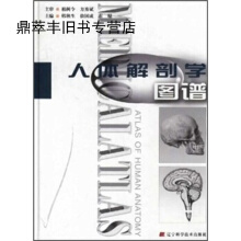 针灸解剖学图谱
