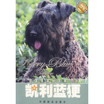 技术元素美凯文凯利