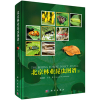 暂无图片