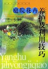 花卉组合布景及养护