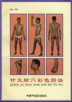 针灸腧穴彩色图谱李瑞