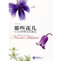 那些花儿-信金焕