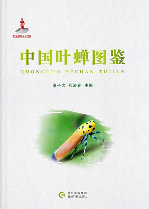 中国墓葬历史图鉴：下卷叶骁军