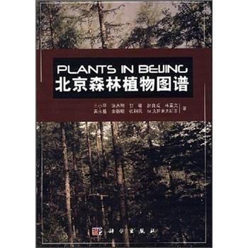 暂无图片