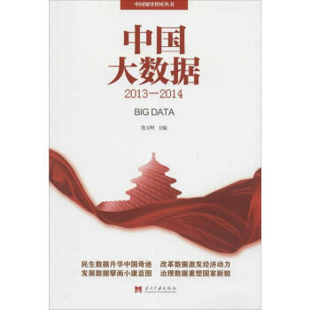 中国大数据-连玉明