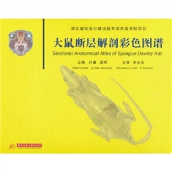 大鼠的解剖和组织