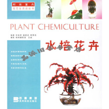 水培花卉