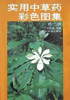 常见草药 第二册