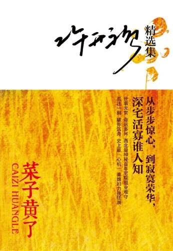 天净沙-许开祯