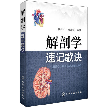 解剖学速记歌诀