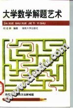 大学数学解题艺术胡适耕