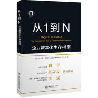 方程的另用——从3n 1猜想到3n 1方程