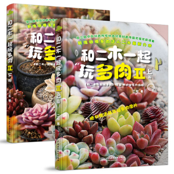 和二木一起玩多肉二木