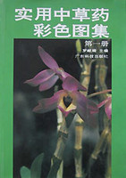 常见草药 第一册