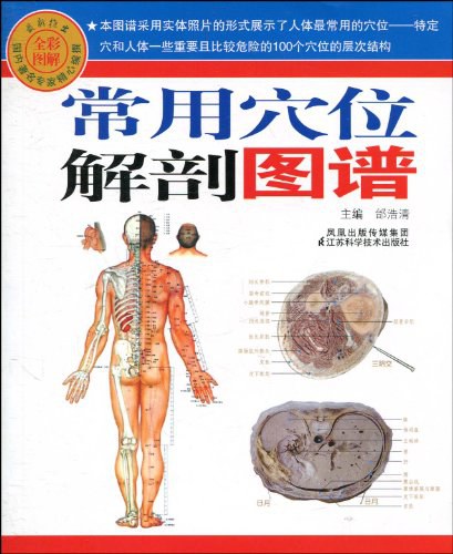 针灸穴位层次解剖图谱高华龄