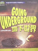 德里罗地下世界唐德里罗
