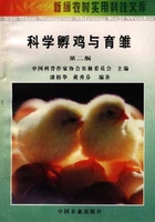 科学孵鸡与育雏