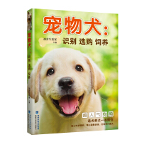 宠物犬食物的调制