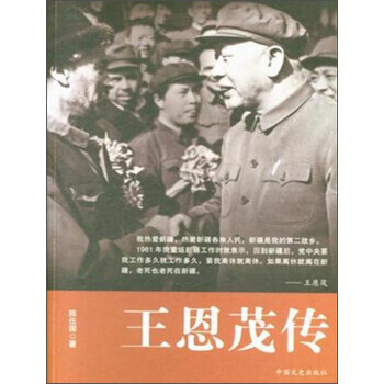 数学教育辞典王恩大
