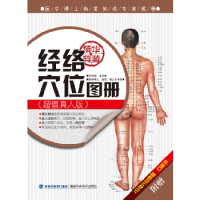 经络穴位图