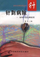 针到病除——独特针灸治病绝招杨光
