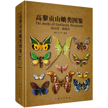 暂无图片