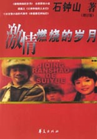 重生之激情燃烧的岁月