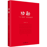 帝国骑士 二战时期德国最高战功勋章获得者全传第4卷-汪冰
