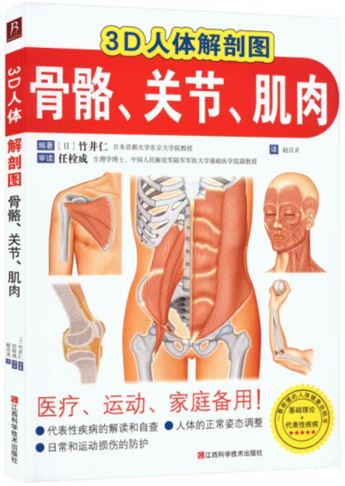 虎、豹及其类似动物骨骼比较解剖图志陈代贤 主编