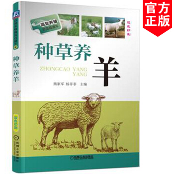 种草养羊一招富