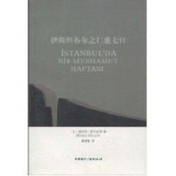 伊斯坦布尔之仁慈七日土耳其穆拉特 居尔索伊
