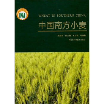 暂无图片