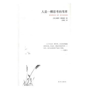 人是一棵思考的苇草英索斯维尔