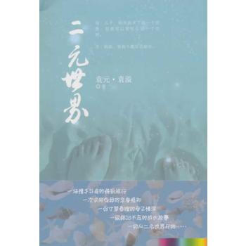 论文：复数域上二元超越扩张的若干性质