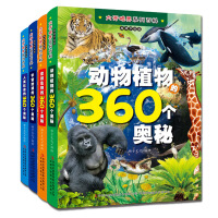 探究人类社会创新现象的奥秘侯光明