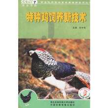 暂无图片