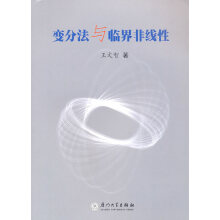 变分法与临界非线性王文智