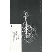 地底三万尺-朱少麟