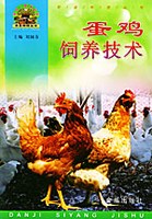 肥牛饲养技术