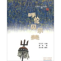 数学精英美贝尔