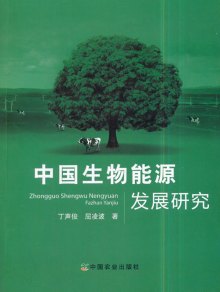 中美生物能源发展战略的比较研究