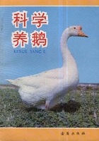 科学养鹅与鹅产品加工