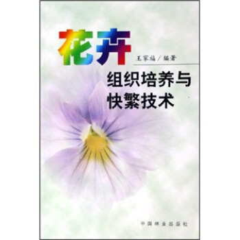 花卉组织培养