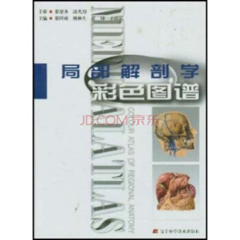 局部解剖学彩色图谱