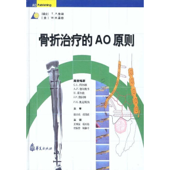 骨折治疗的AO原则下高清版