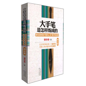 大手笔是怎样炼成的理论篇谢亦森